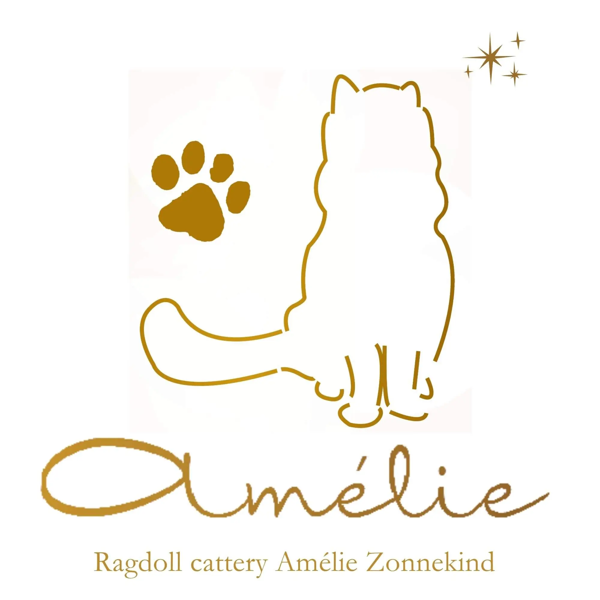 Logo van Ragdoll Cattery Amélie Zonnekind