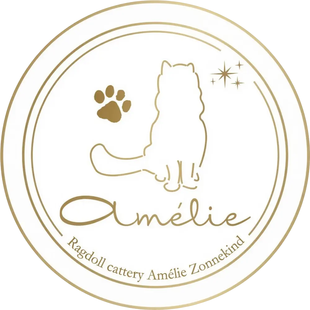 Logo Ragdoll Cattery Amélie Zonnekind (2) Logo Ragdoll cattery Amélie Zonnekind